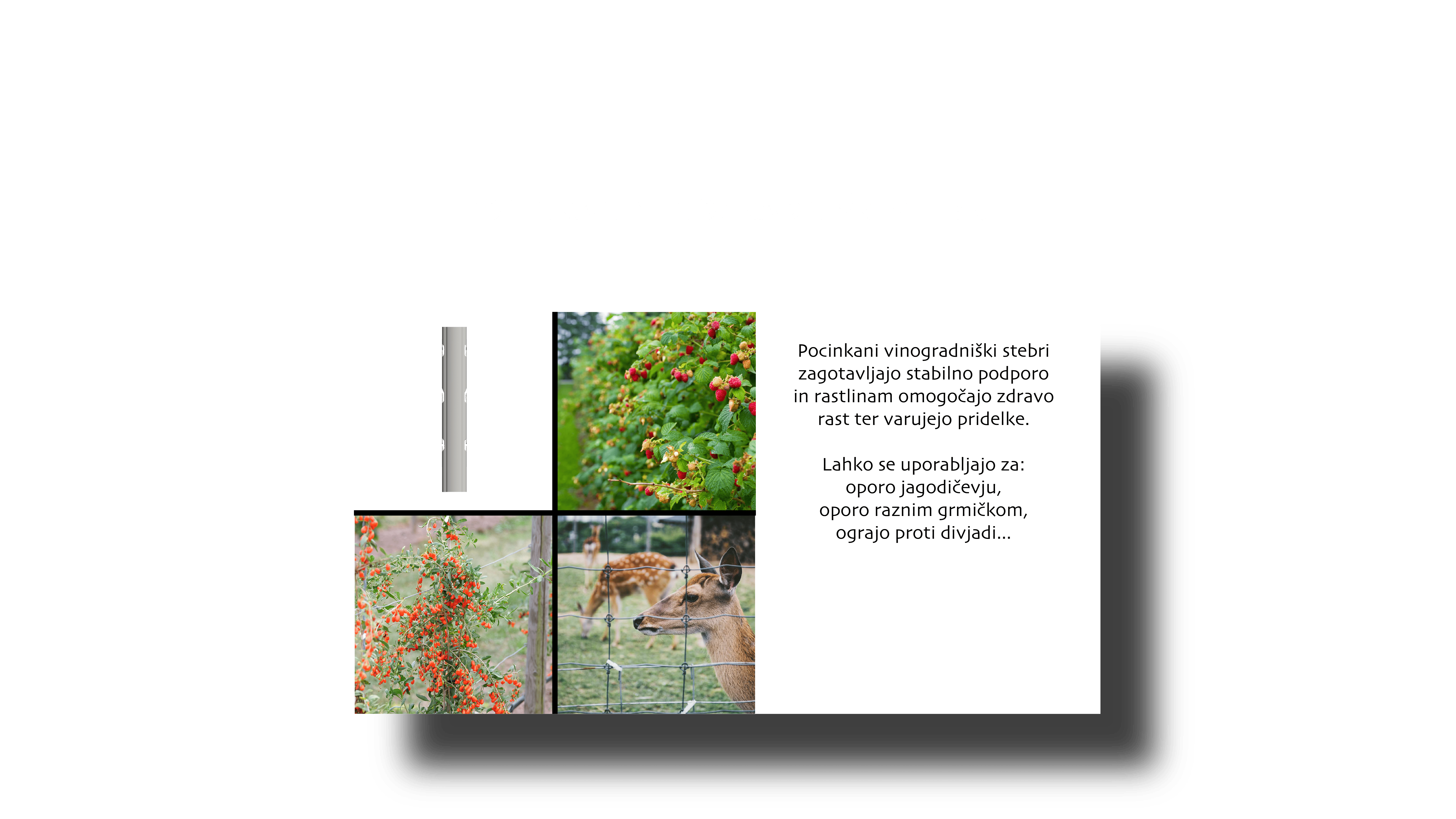 vinogradniški stebri